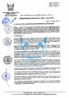 Vista preliminar de documento 246-2022-MPHH