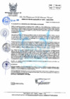 Vista preliminar de documento 272-2022-MPHH
