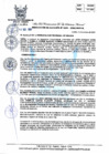 Vista preliminar de documento 291-2022-MPHH