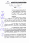 Vista preliminar de documento RDR N°373-2022.pdf