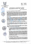 Vista preliminar de documento R.A_049-2022-MPH.pdf