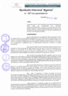 Vista preliminar de documento RDR N°367-2022.pdf