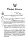 Vista preliminar de documento RD N° 556-2022.pdf