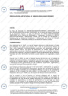 Vista preliminar de documento Resolución Jefatural N° 000233-2022-JNAC_RENIEC