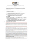 Vista preliminar de documento Anexo N° 01 - Puesto/s Vacante/s