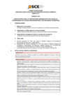 Vista preliminar de documento Anexo N° 01 - Puesto/s Vacante/s