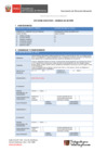 Vista preliminar de documento 5.° GORE E - MEF