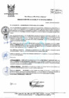 Vista preliminar de documento R.A_136-2021-MPH.pdf