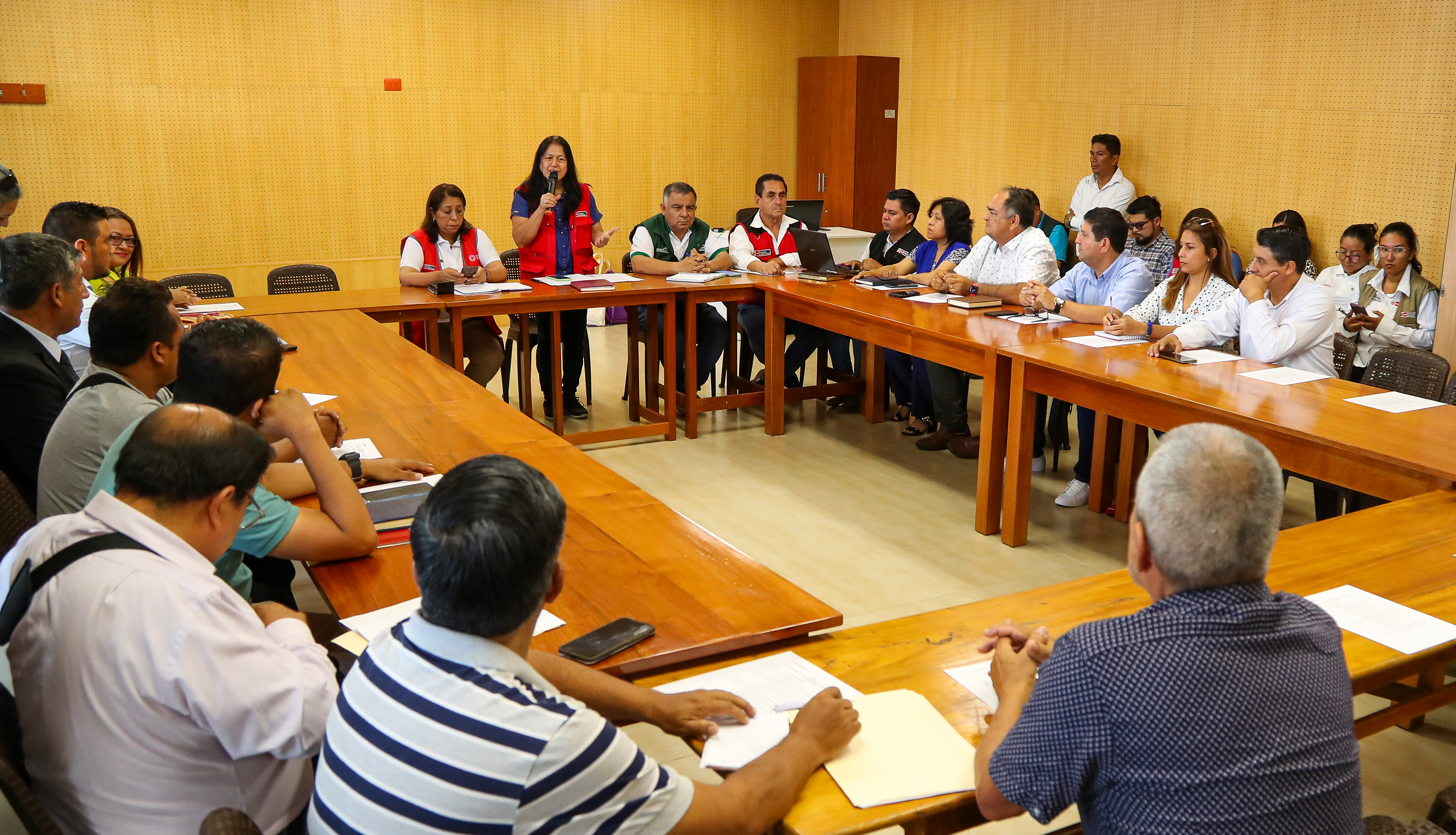 Ministra Grecia Rojas en la región San Martín