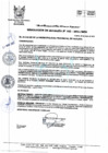 Vista preliminar de documento R.A_162-2021-MPH.pdf