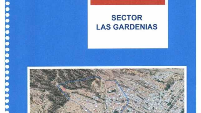 Informe de Análisis de Riesgo con Fines de Formalización - SECTOR LAS GARDENIAS