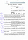 Vista preliminar de documento RDR 368-2022.pdf