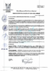 Vista preliminar de documento R.A_184-2021-MPH.pdf