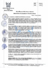 Vista preliminar de documento R.A_196-2021-MPH.pdf