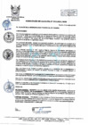 Vista preliminar de documento 013-2021-MPHH