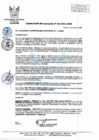 Vista preliminar de documento 003-2021-MPHH