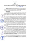 Vista preliminar de documento RES N°581-2022-GRDS