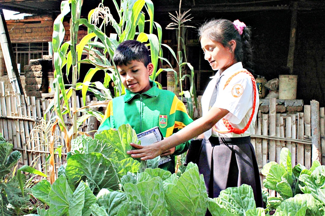 Cuidando las plantas.
