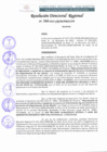 Vista preliminar de documento RDR N°366-2022.pdf