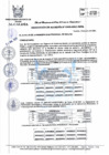 Vista preliminar de documento R.A_203-2021-MPH.pdf