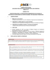 Vista preliminar de documento Anexo N° 01 - Puesto/s Vacante/s