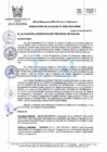 Vista preliminar de documento R.A_206-2021-MPH.pdf