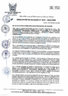 Vista preliminar de documento R.A 357.pdf
