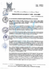 Vista preliminar de documento R.A 355.pdf