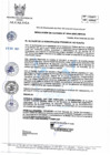 Vista preliminar de documento 345-2021-MPHH