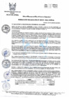 Vista preliminar de documento 375-2021-MPHH