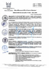 Vista preliminar de documento 390-2021-MPHH