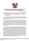 Vista preliminar de documento Resolución N° 169-2022-SUNARP_SN