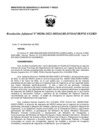 Vista preliminar de documento R.J. 206-2022-MIDAGRI-PSI-UGIRD.pdf