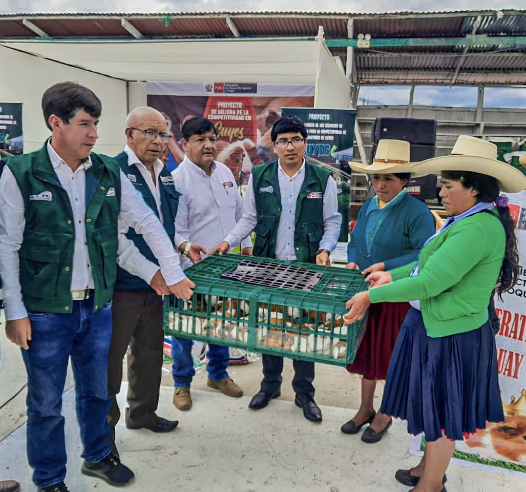 CAJAMARCA