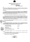 Vista preliminar de documento 2016_394