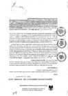 Vista preliminar de documento 203-2019