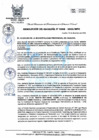 Vista preliminar de documento R.A 368.pdf