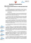 Vista preliminar de documento RESOLUCION DE SUPERINTENDENCIA 000294-2022-MIGRACIONES