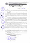 Vista preliminar de documento RDR 028 - 2019