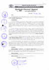 Vista preliminar de documento RDR 030-2019