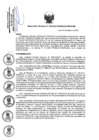 Vista preliminar de documento Resolucion_Directoral_009-2021-DE.pdf