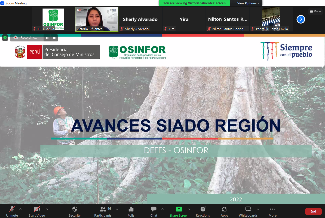 Taller virtual con autoridades forestales de Huánuco, Ucayali y Loreto