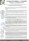 Vista preliminar de documento RGM-882-2022-GM-MPLC
