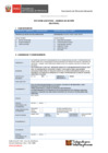 Vista preliminar de documento 6.° GORE E - MTC
