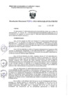 Vista preliminar de documento R.D. 155-2022-MIDAGRI-PSI.pdf