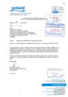 Vista preliminar de documento PMI 2020 - 2022 - Sedapal