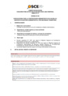 Vista preliminar de documento Anexo N° 01 - Puesto/s Vacante/s Concurso de CAS N° 062-2022-OSCE