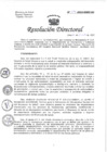 Vista preliminar de documento RESOLUCIÓN DIRECTORAL N 334-2022-DG.pdf