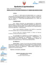 Vista preliminar de documento RESOLUCION DE SUPERINTENDENCIA 000295-2022-MIGRACIONES