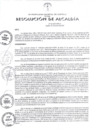 Vista preliminar de documento 2021-431